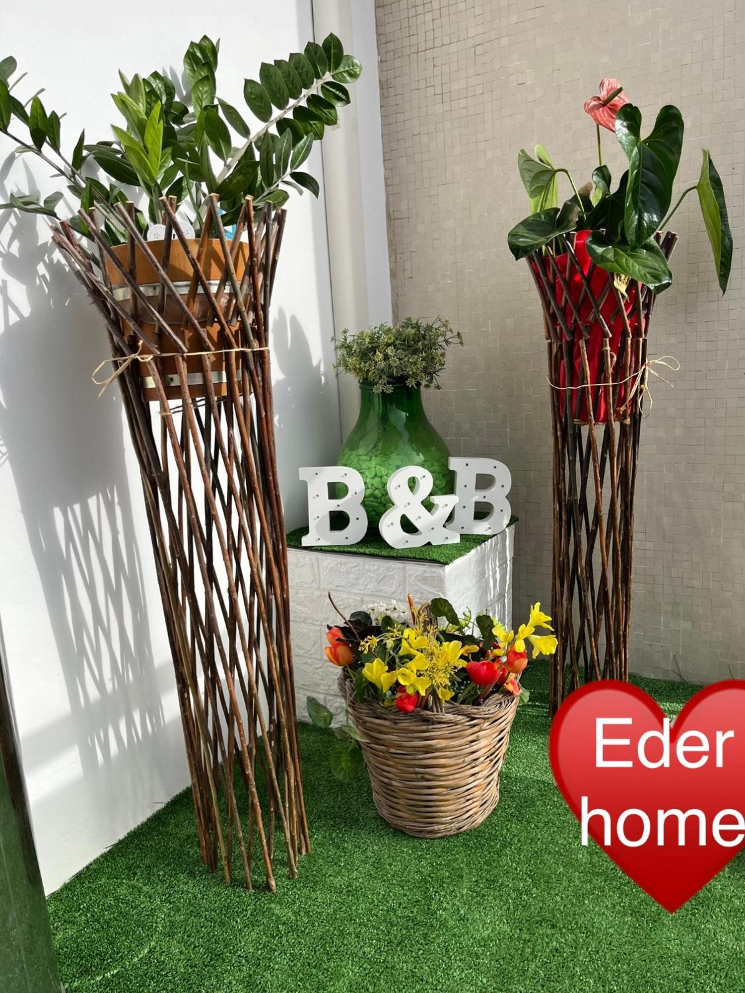 Eder Home A Un Passo Dal Teatro Greco 시라쿠사 외부 사진